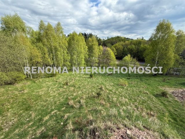 Działka budowlana Jedlina-Zdrój Kamieńsk. Zdjęcie 2