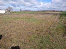 Działka inwestycyjna Jasiony. Zdjęcie 1