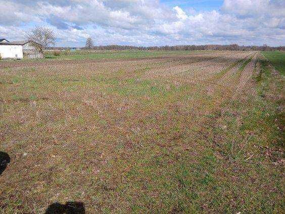 Działka inwestycyjna Jasiony. Zdjęcie 2