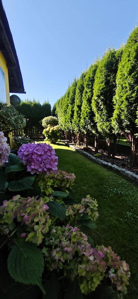 Działka rod Wodzisław Śląski, ul. Marklowicka. Zdjęcie 5