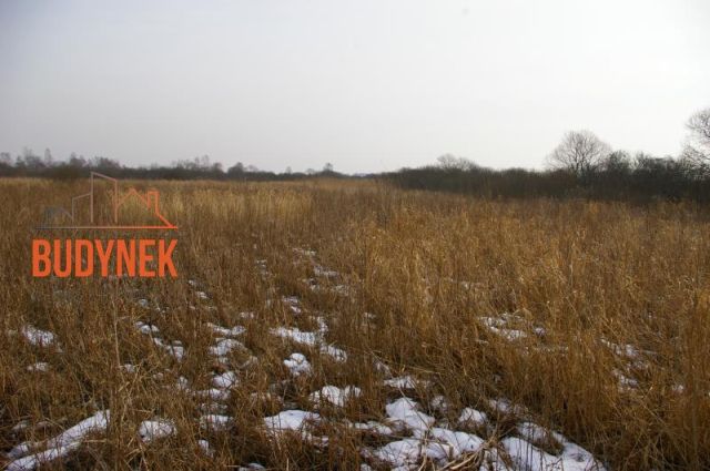 Działka rolna Malechowo. Zdjęcie 5