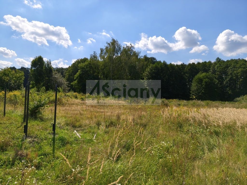 Działka budowlana Zaręby. Zdjęcie 4