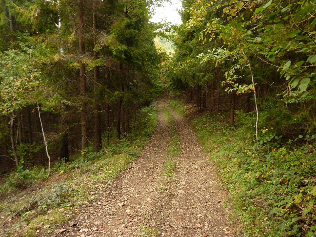 Działka rolna Pewel Wielka Garleje. Zdjęcie 24