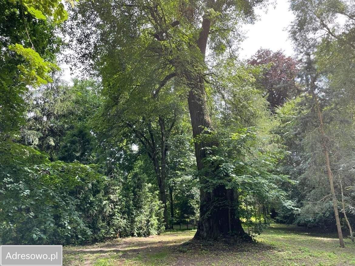 dworek Taszewo. Zdjęcie 12