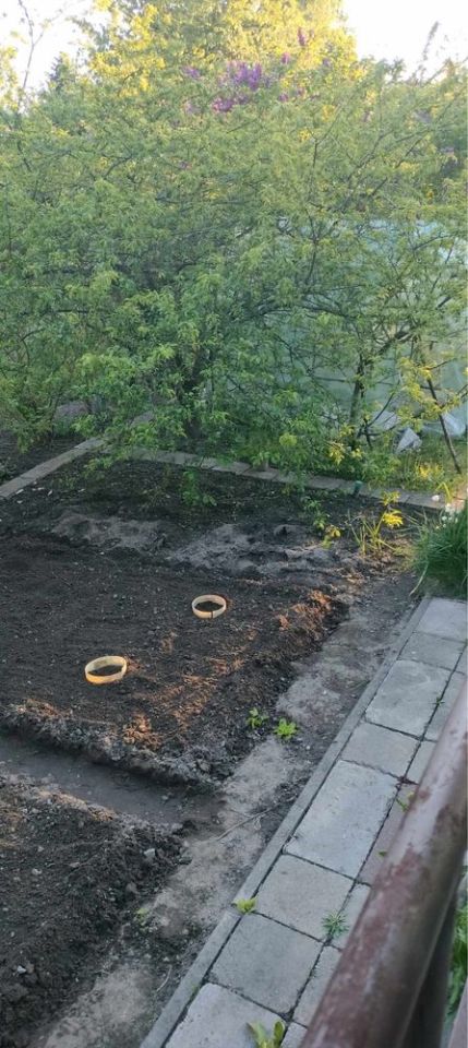 Działka rod Tarnów, ul. Elektryczna. Zdjęcie 4