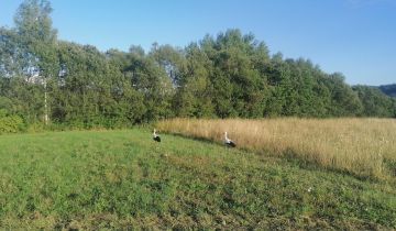 Działka rekreacyjna Rybotycze