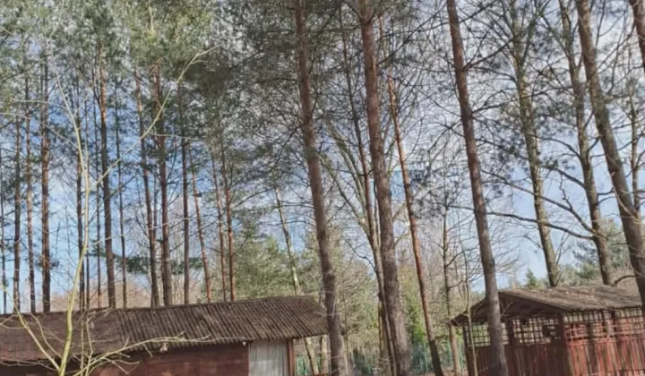 Działka budowlana Osowiec, ul. Szkolna