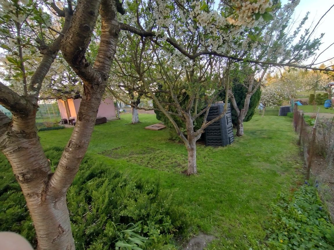 Działka rod Strzelce Krajeńskie. Zdjęcie 3