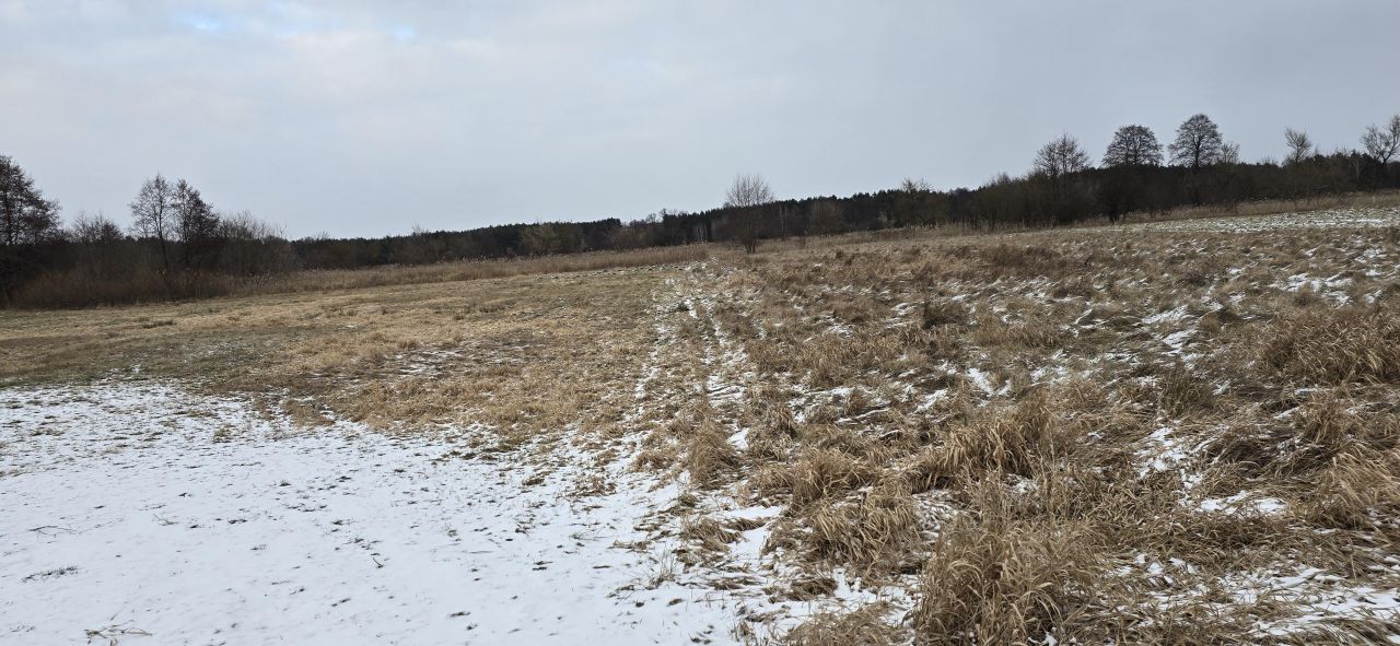 Działka rolno-budowlana Gadka, ul. Letniskowa. Zdjęcie 6
