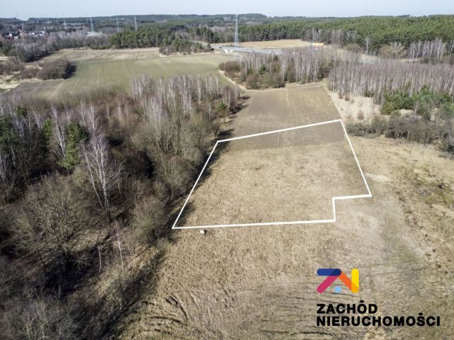 Działka budowlana Zielona Góra Racula, ul. Racula-Międzylesie. Zdjęcie 5