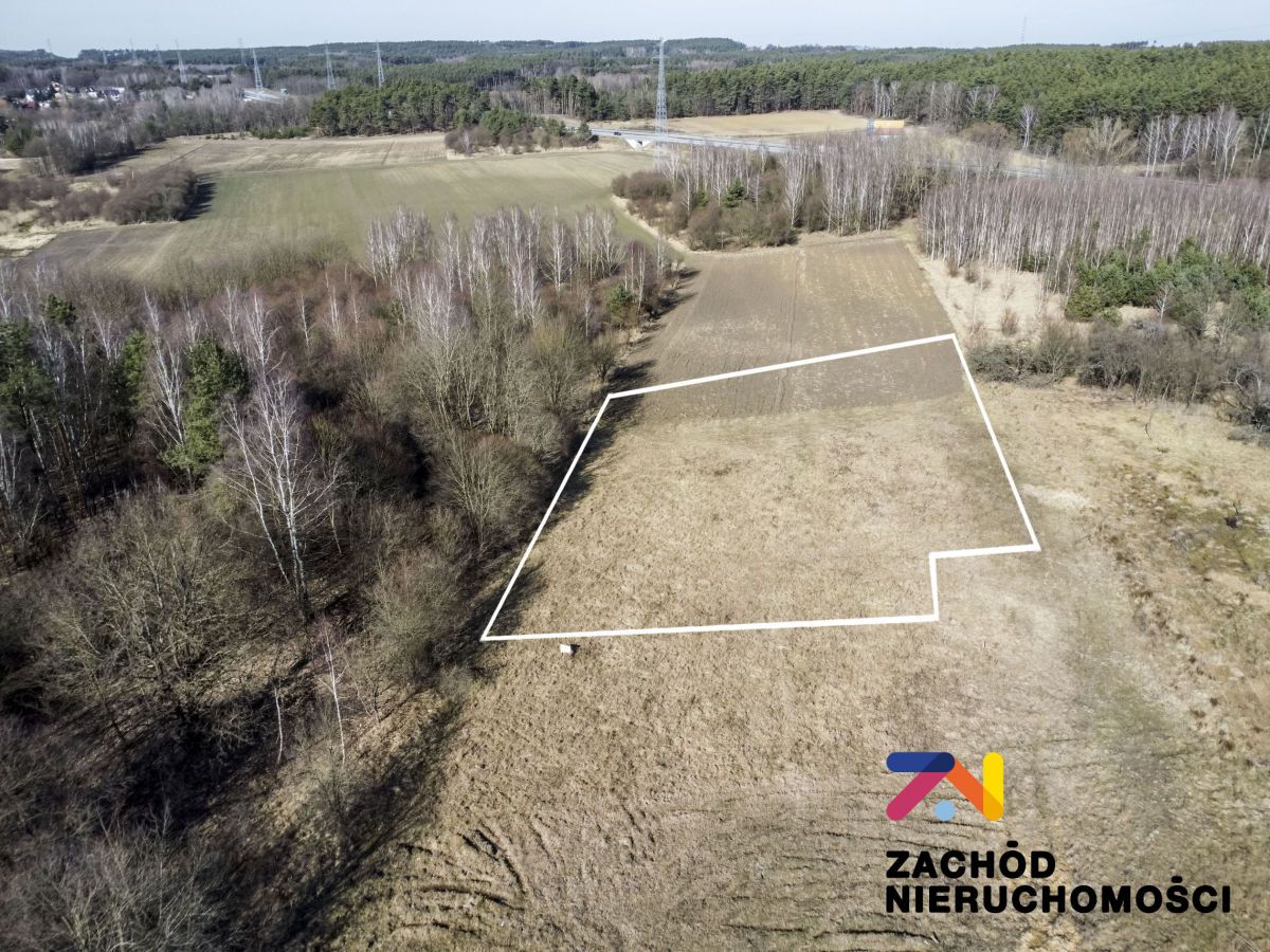 Działka budowlana Zielona Góra Racula, ul. Racula-Międzylesie. Zdjęcie 5