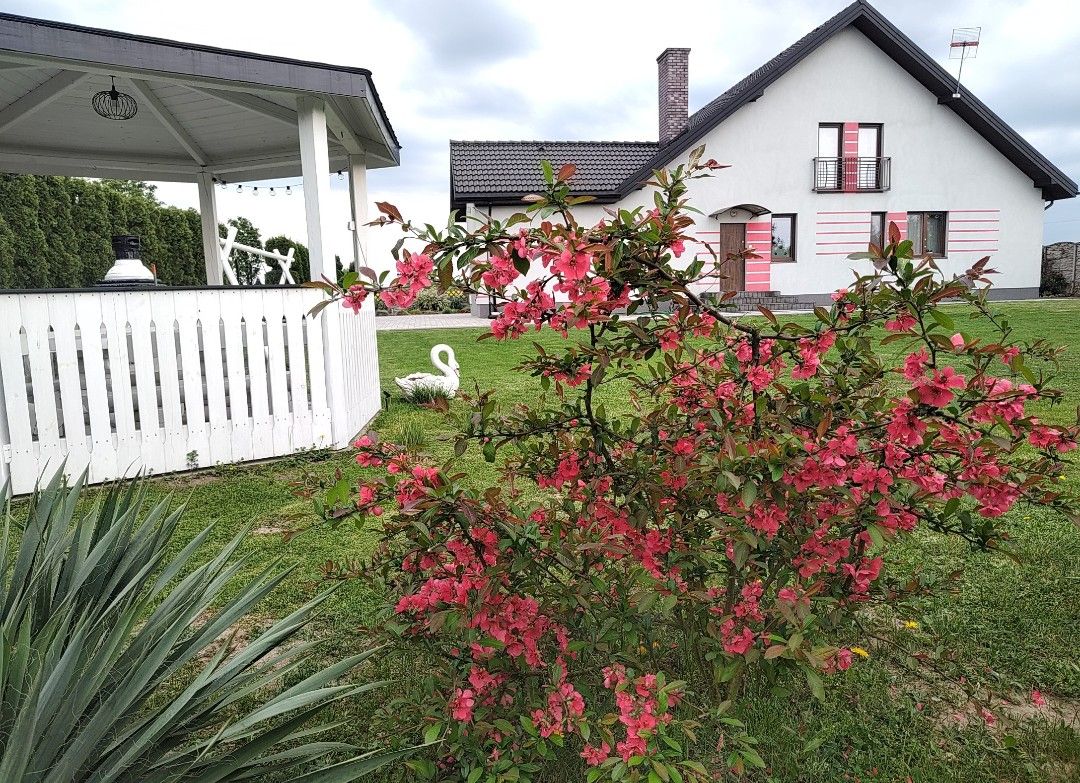 dom wolnostojący, 3 pokoje Podule. Zdjęcie 12