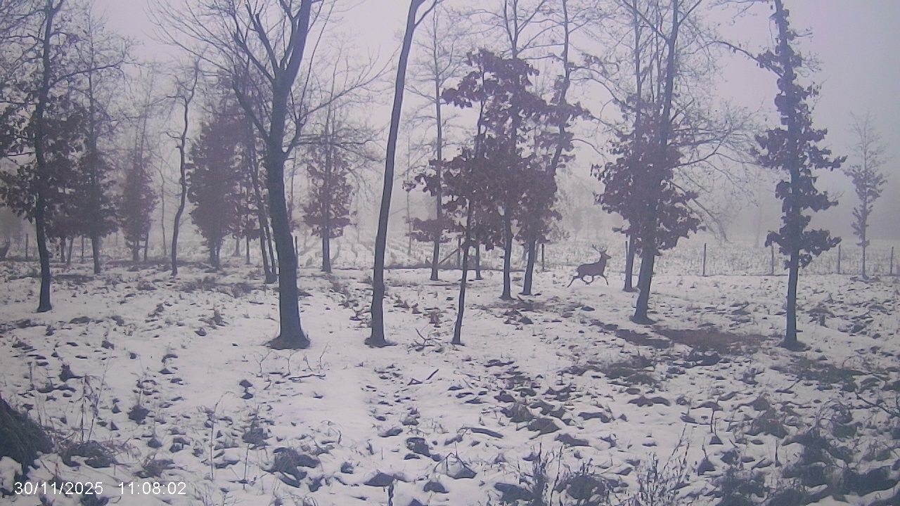 Mieszkanie 3-pokojowe Złotniki, Pawłowicka. Zdjęcie 7