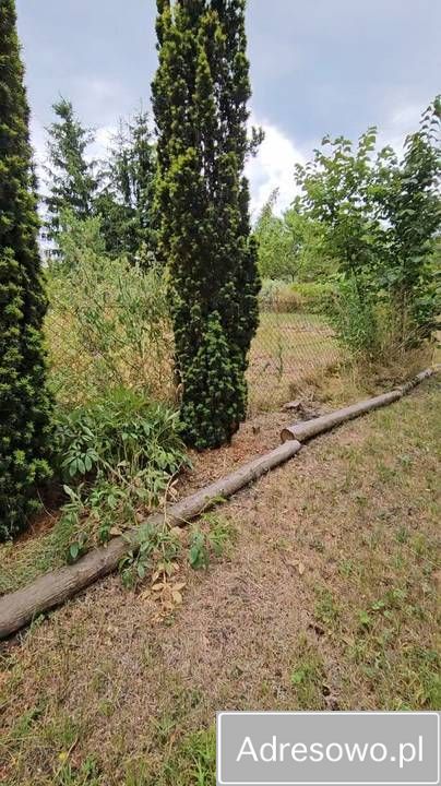 Działka rod Żagań. Zdjęcie 5
