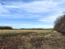 Działka rolno-budowlana Młynary, ul. Kolejowa. Zdjęcie 4