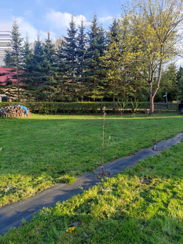 dom wolnostojący Olszanowo. Zdjęcie 2