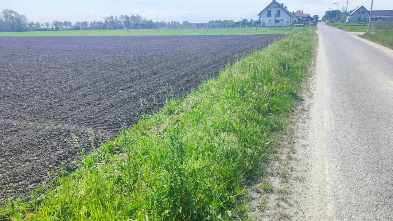 Działka rolno-budowlana Wierzbice, ul. Tarnopolska. Zdjęcie 5