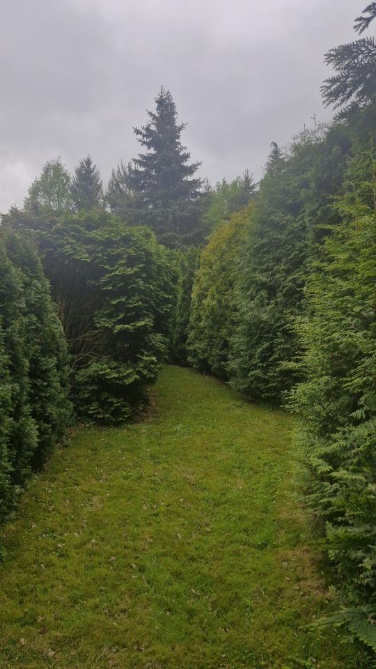 dom wolnostojący, 2 pokoje Stare Koluszki. Zdjęcie 8