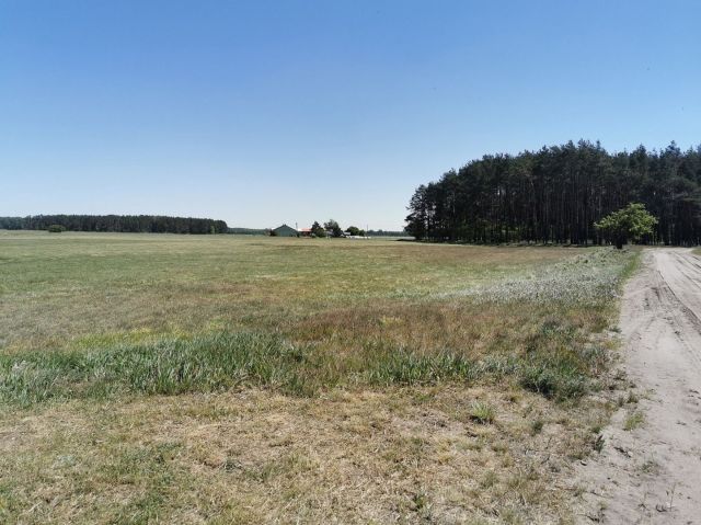 Działka rolna Święta. Zdjęcie 8