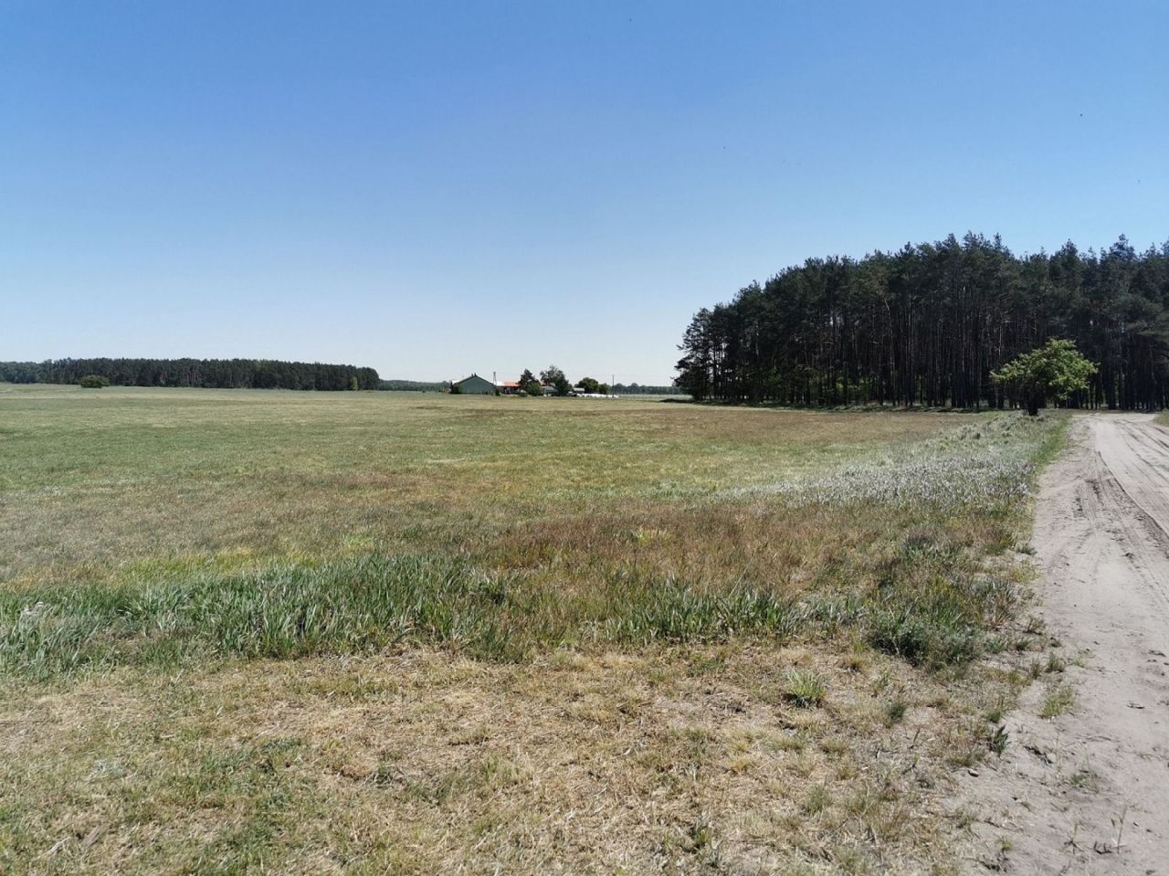 Działka rolna Święta. Zdjęcie 8