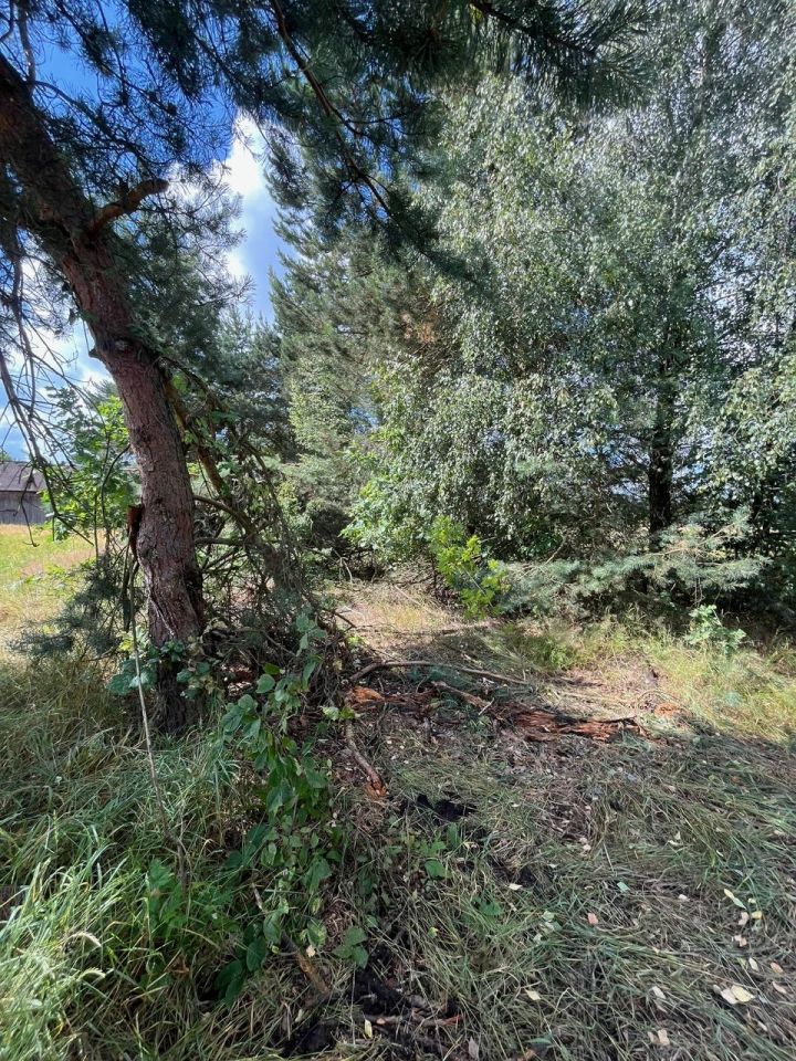 Działka rolno-budowlana Surmacze. Zdjęcie 12