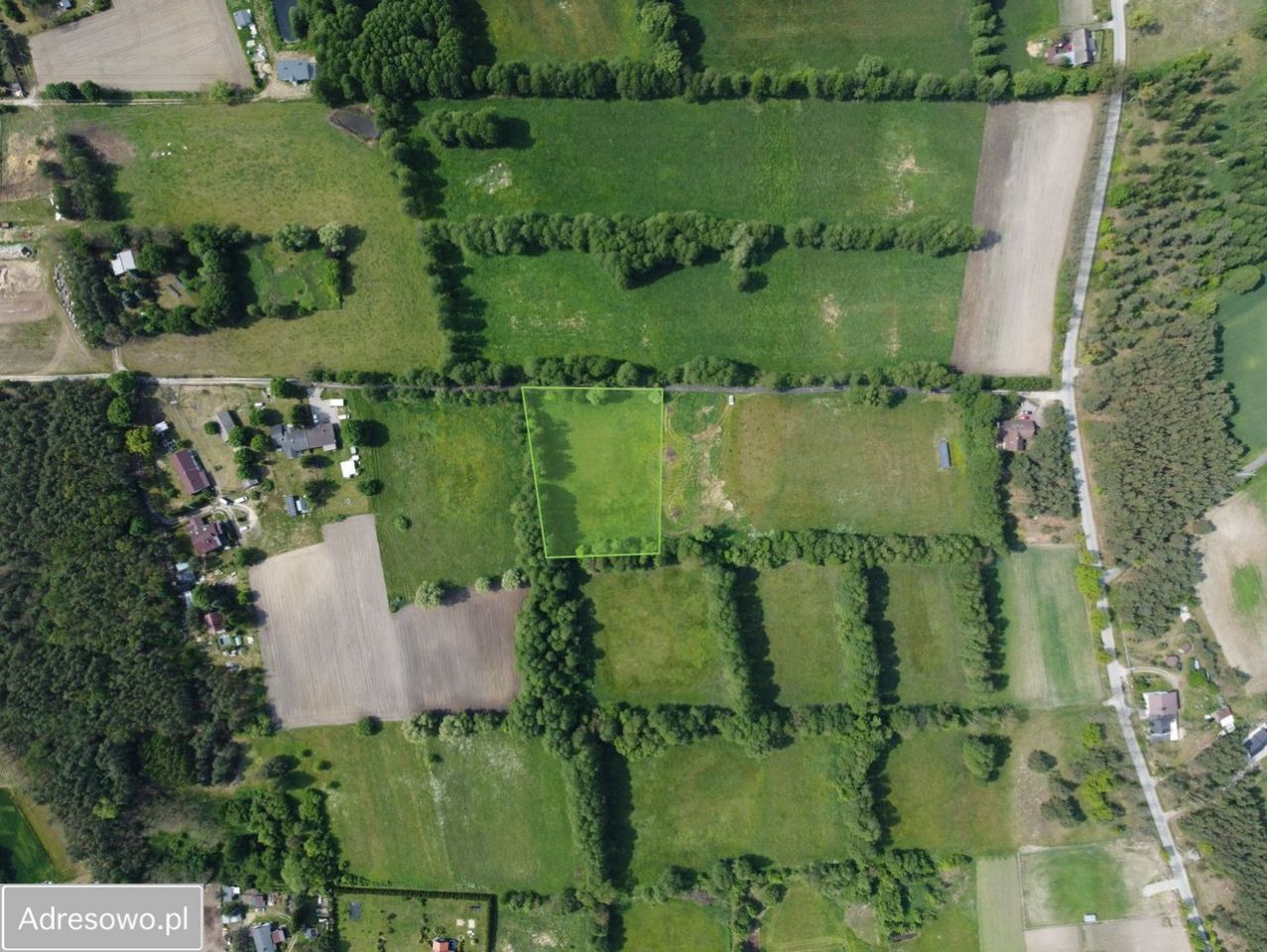 Działka inwestycyjna Zarośle Cienkie. Zdjęcie 4