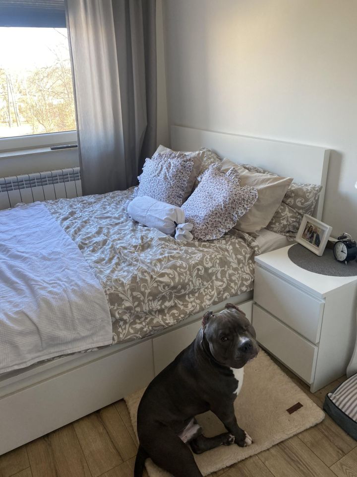 Mieszkanie 3-pokojowe Mława Centrum, ul. Olsztyńska. Zdjęcie 5