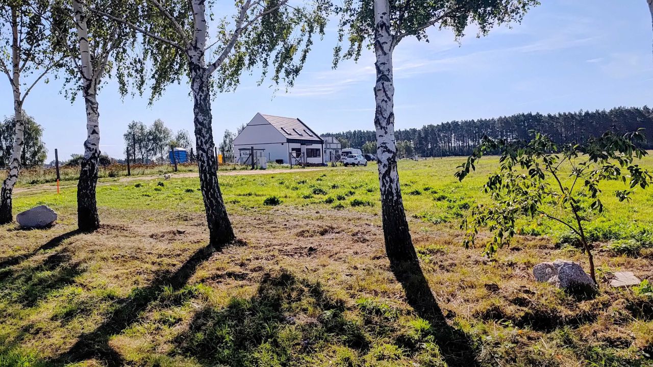 Działka budowlana Trzebiszewo. Zdjęcie 7