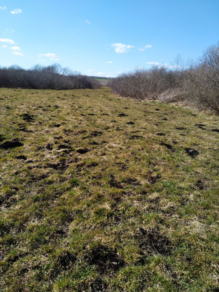 Działka rolna Mieroszyno, ul. Starowiejska. Zdjęcie 4