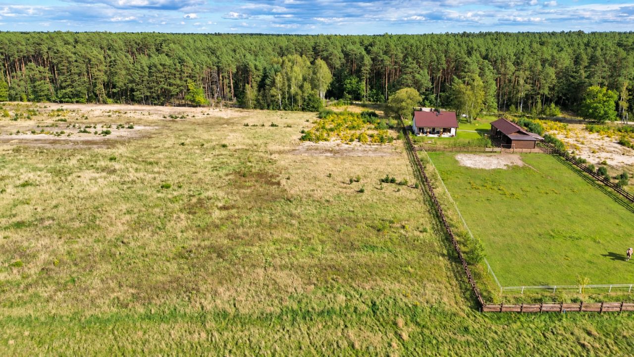 Działka rolno-budowlana Grotów. Zdjęcie 5