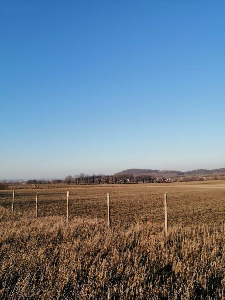 Działka budowlana Jodłownik. Zdjęcie 5