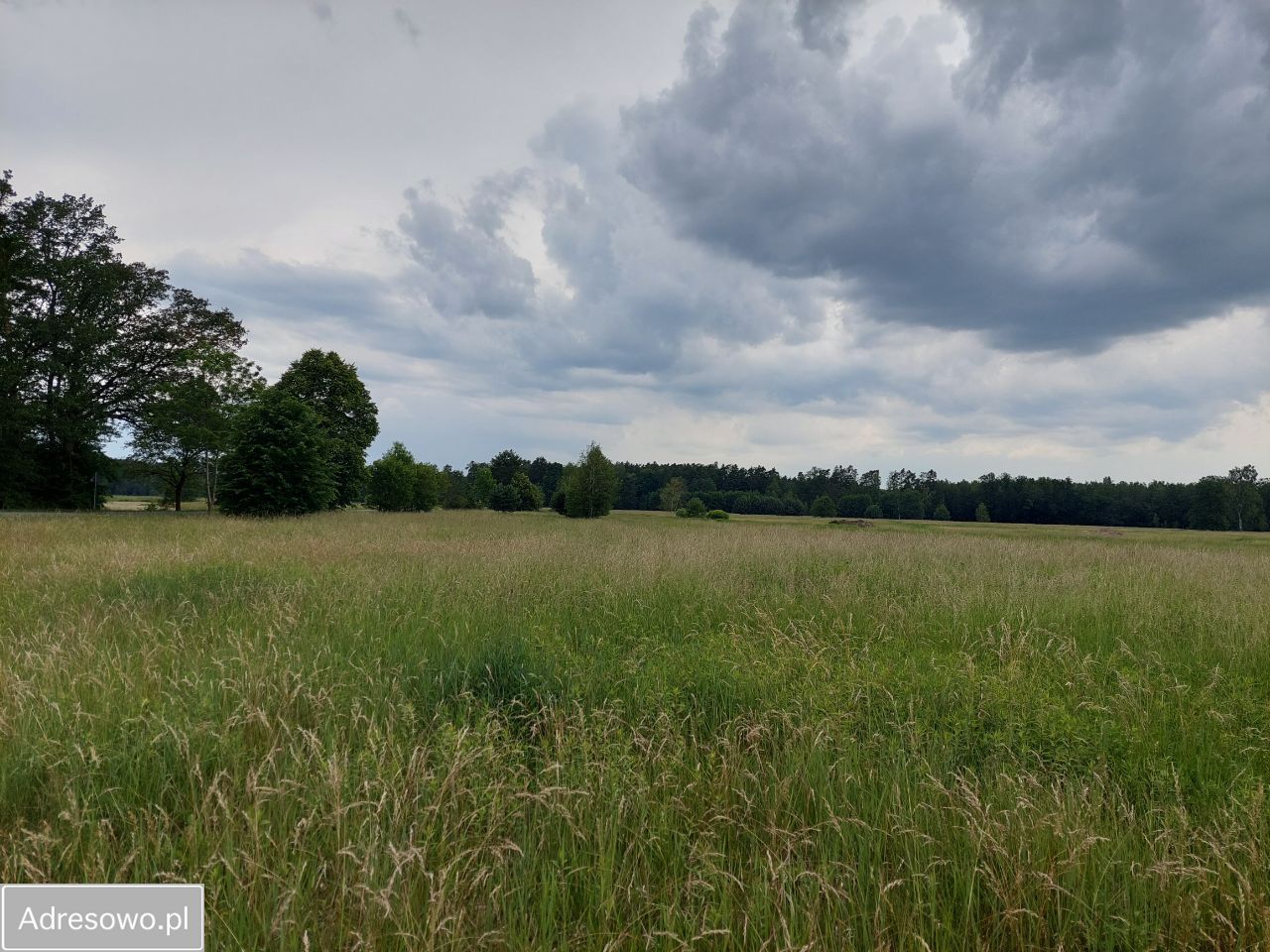 Działka budowlana Krzywa Góra. Zdjęcie 3
