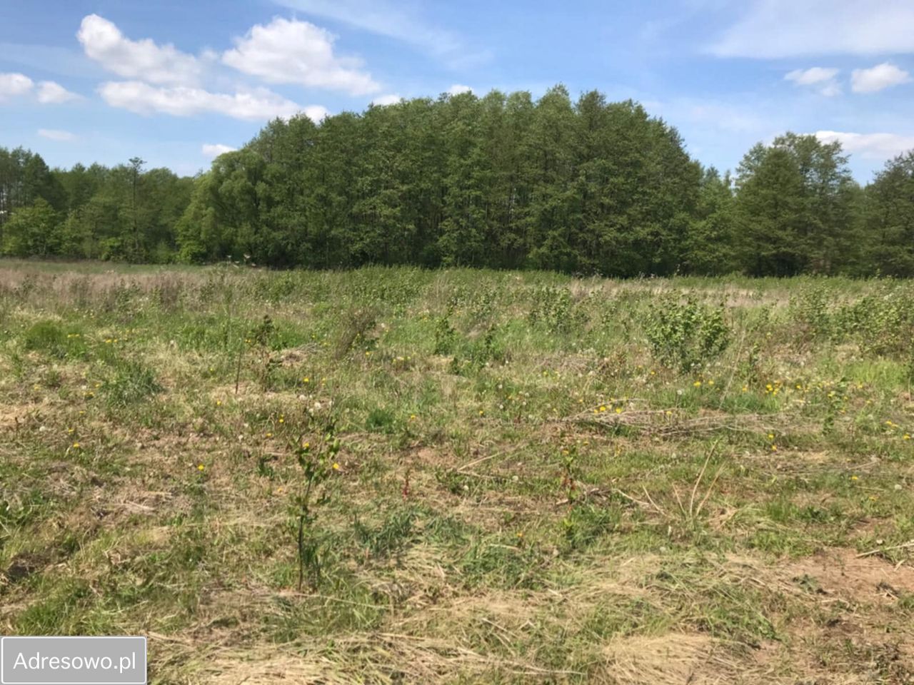 Działka rolna Wola Worowska. Zdjęcie 4