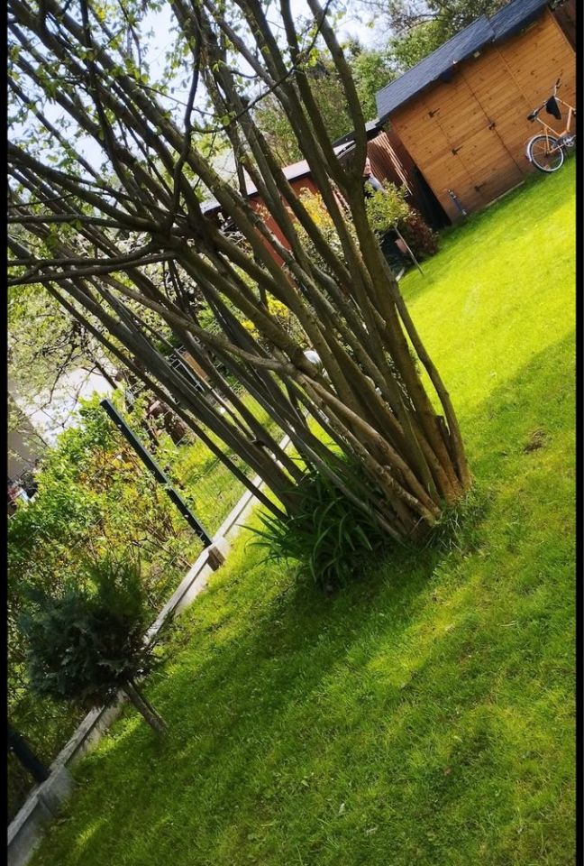 Działka rod Raszyn. Zdjęcie 4