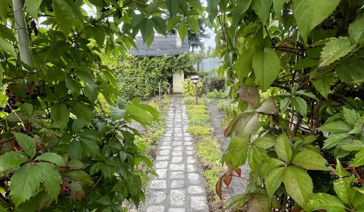 Działka rod Wrocław Krzyki, ul. Konduktorska