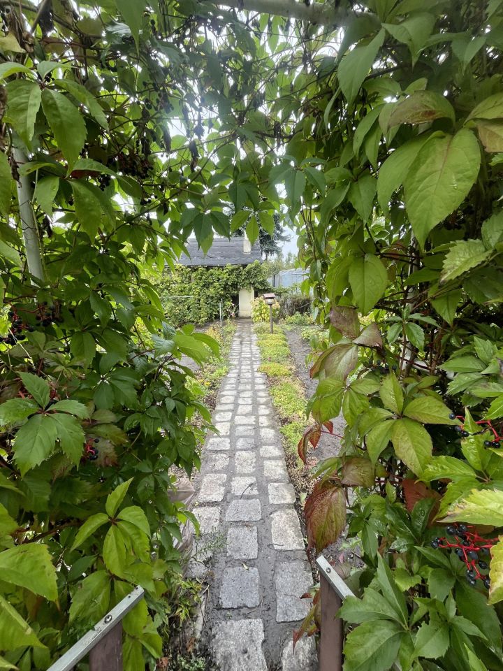 Działka rod Wrocław Krzyki, ul. Konduktorska