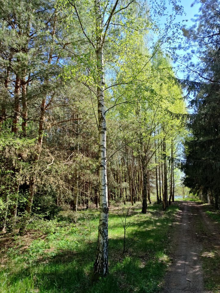 Działka rolno-budowlana Długie Grodzieckie Nad Jeziorem. Zdjęcie 9