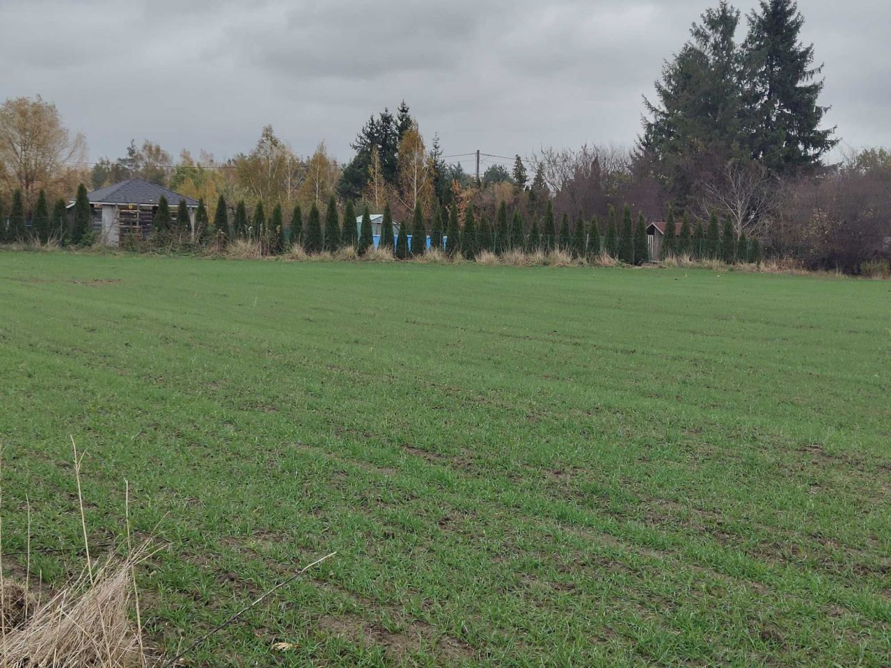 Działka budowlana Rumunki Podgłodowskie