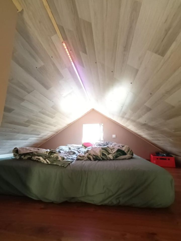 Działka rod Wolsztyn. Zdjęcie 7