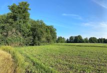 Działka rolna Rudawica. Zdjęcie 3