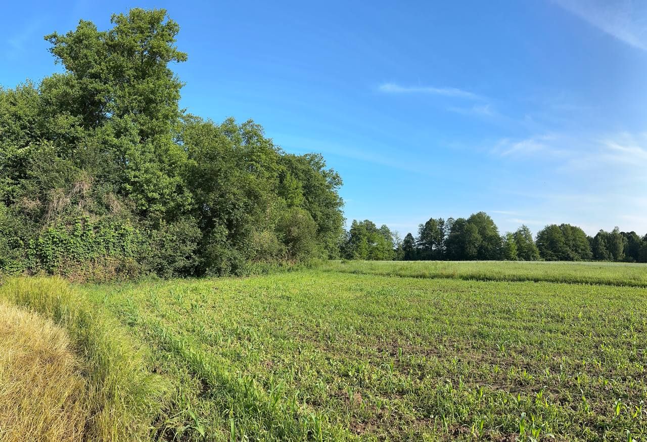 Działka rolna Rudawica. Zdjęcie 4