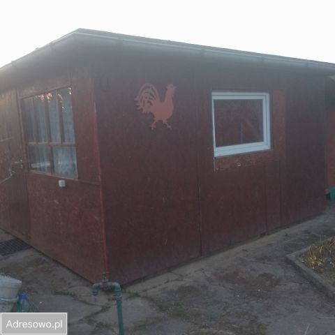 Działka rod Gdynia Babie Doły, ul. Zielona. Zdjęcie 1