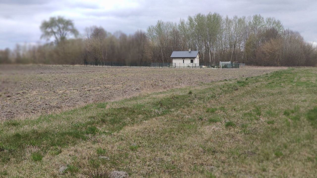 Działka budowlana Wytyczno. Zdjęcie 2