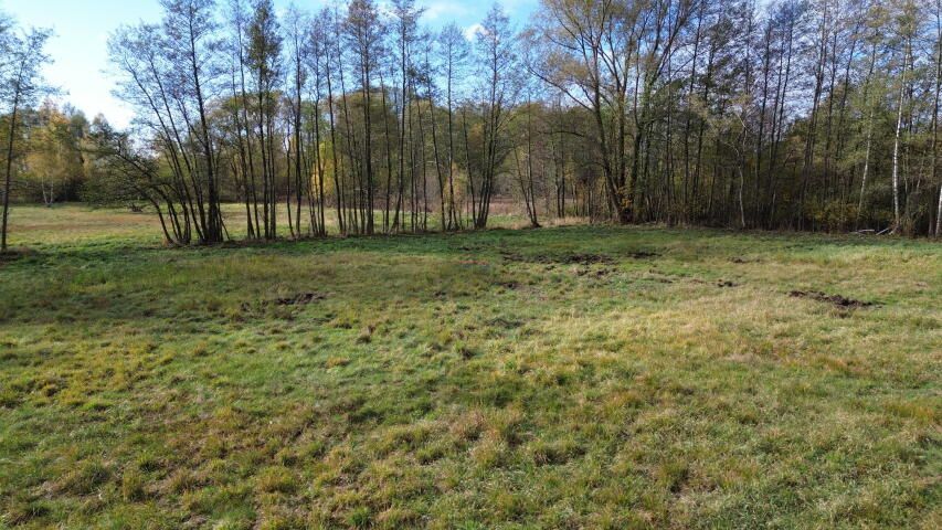 Działka budowlana Biały Ług. Zdjęcie 5