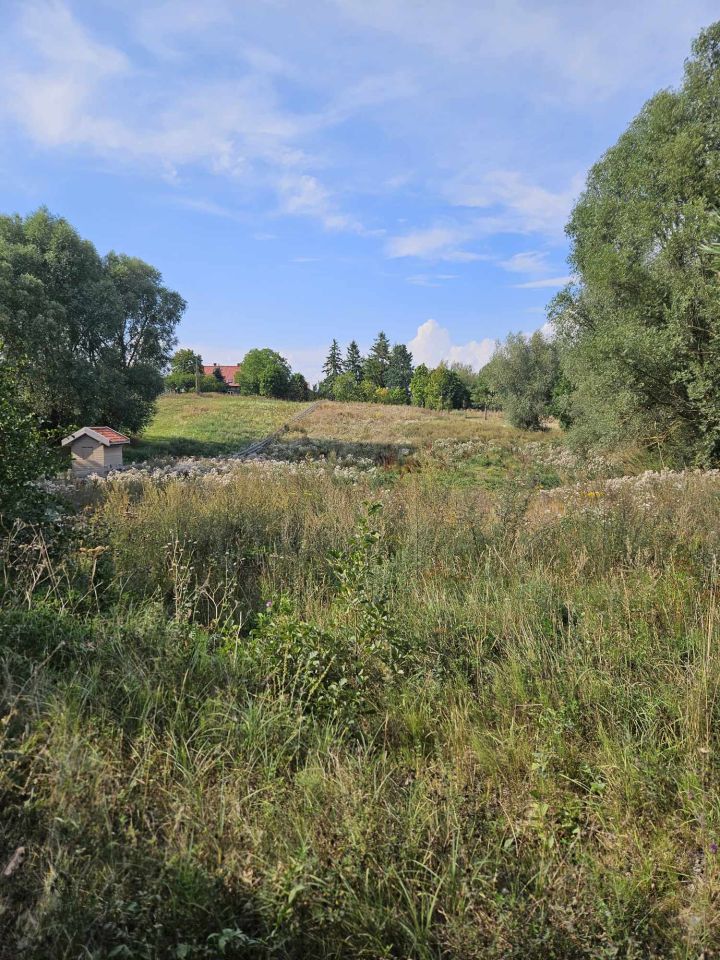 Działka rolna Karwie. Zdjęcie 3