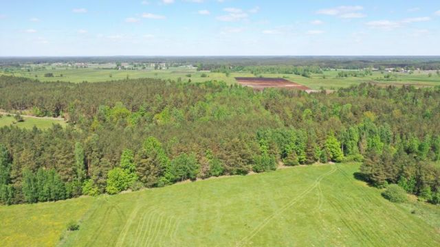 dom wolnostojący, 3 pokoje Żelazna Rządowa. Zdjęcie 5