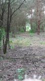 Działka rekreacyjna Mroczki-Kawki. Zdjęcie 1