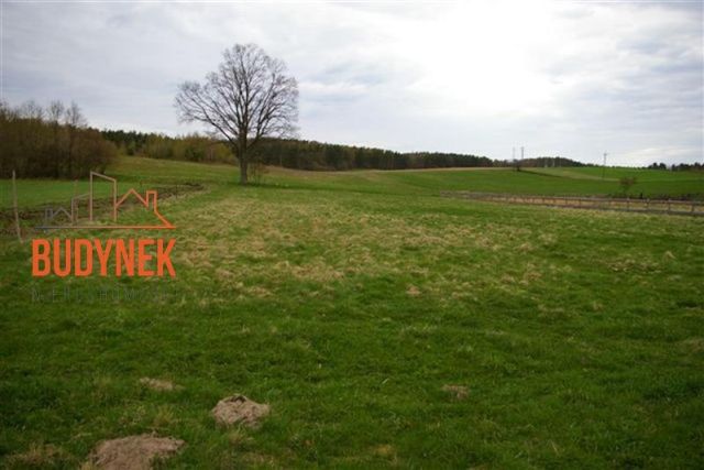 Działka rolna Karsino. Zdjęcie 14