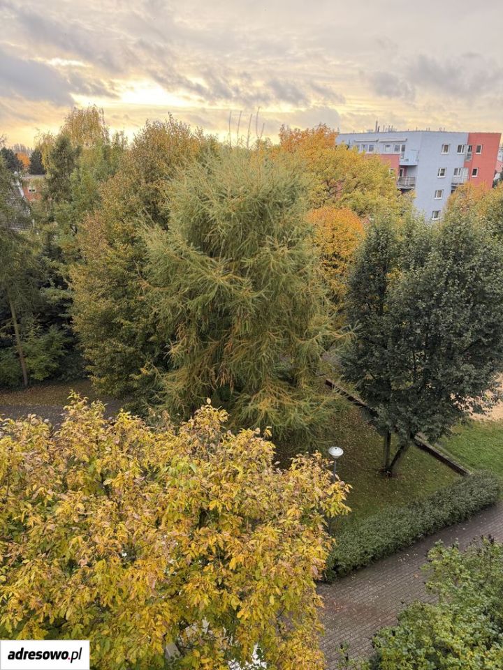 Mieszkanie 2-pokojowe Poznań Grunwald, ul. Międzyborska. Zdjęcie 15