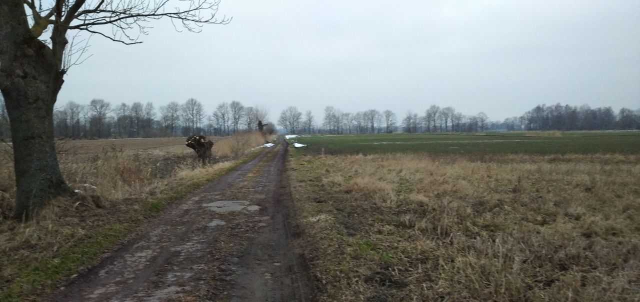 Działka rolno-budowlana Błotnik, ul. Żuławska. Zdjęcie 8